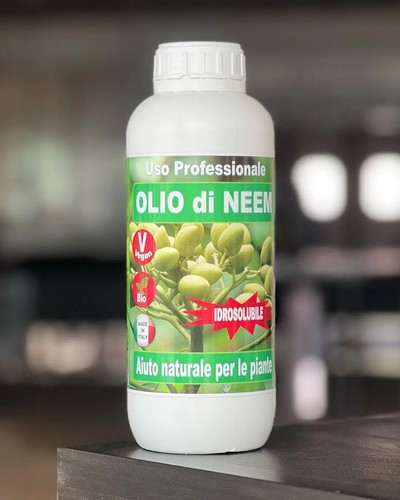 Olio neem insetticida - di,