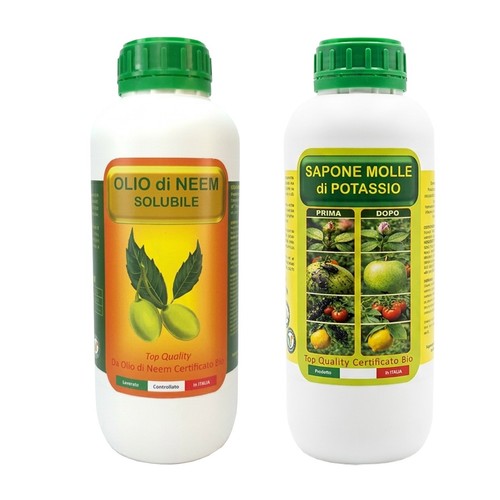 Olio neem solubile - olio, +