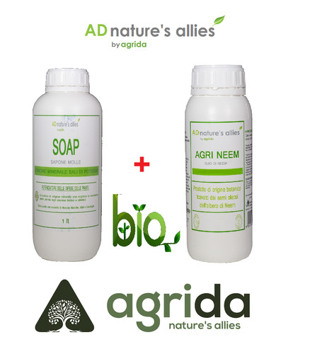 Olio neem solubile - neem,